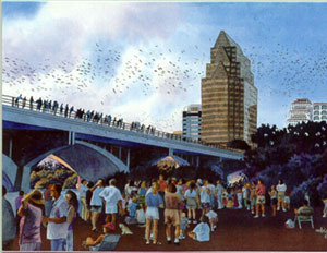 UT Tower with Azaleas - Austin Postcard